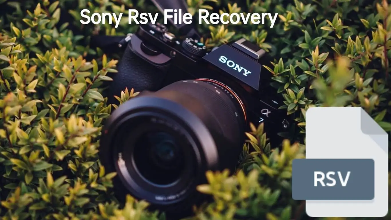 4DDiG Video Repair
